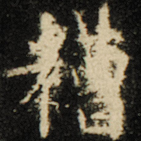 糟