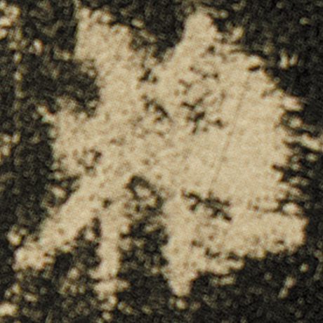 雅