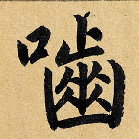 啮