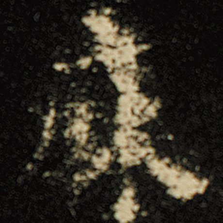 麻