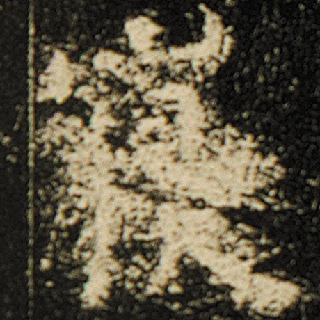 寝