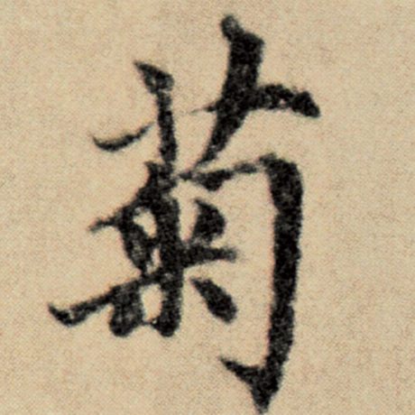 菊