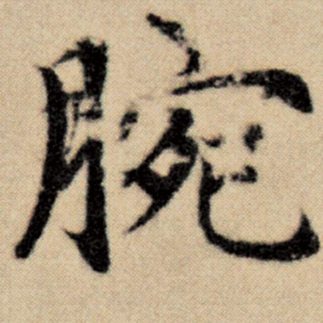 腕