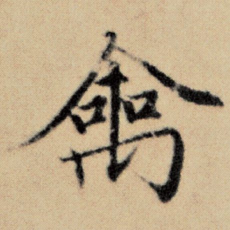 禽