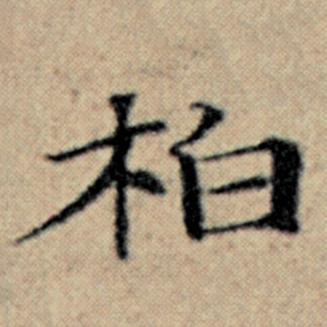 字：柏 书法家：赵孟頫 作品：《汉汲黯传》