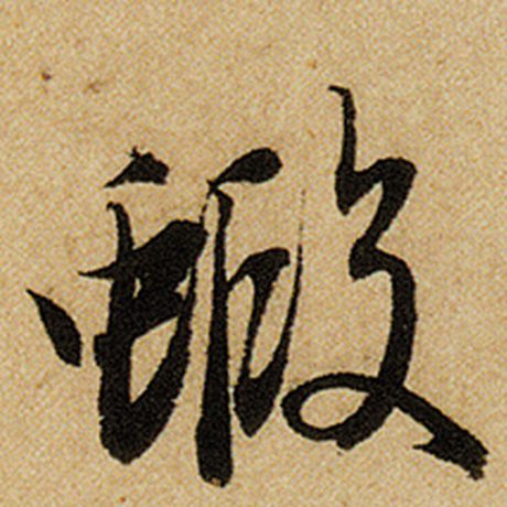 虾