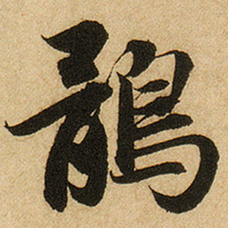 鹃