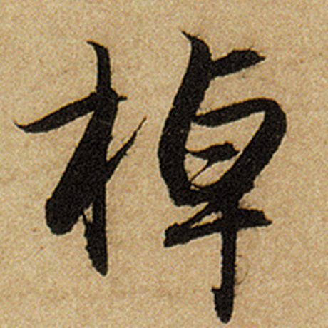 棹