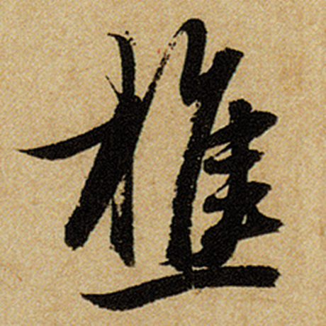 樵
