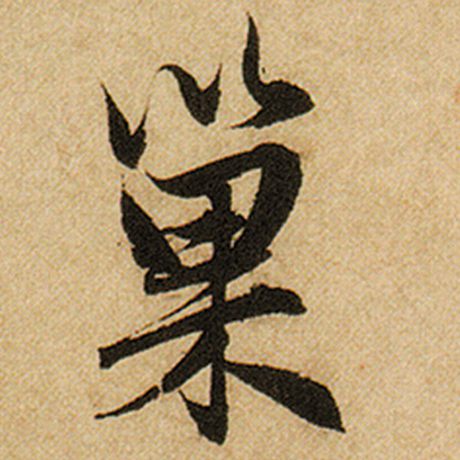巢