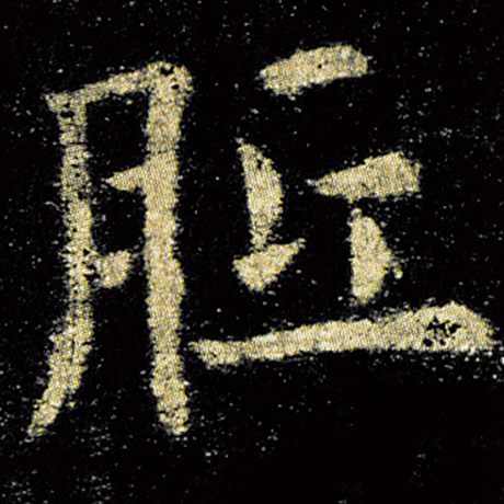 胝