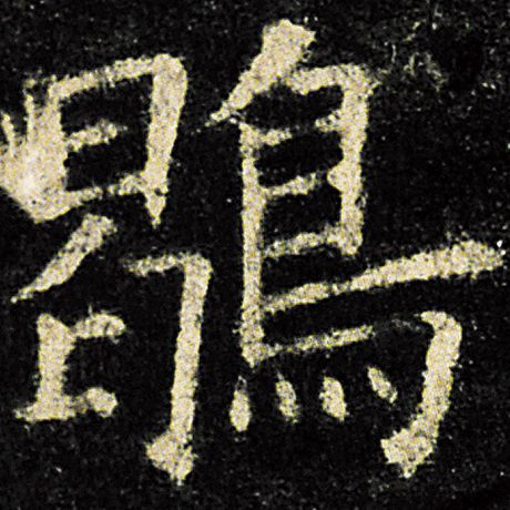 鹖
