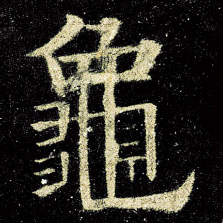 龟