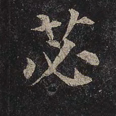 苾