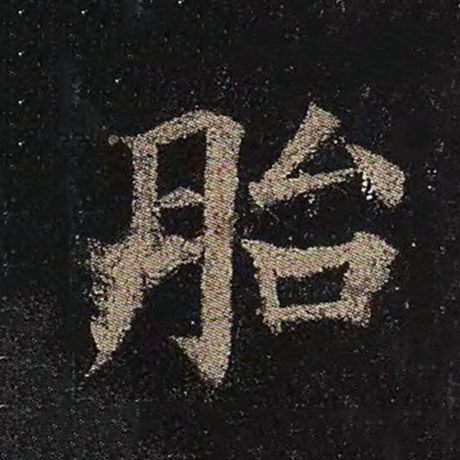 胎