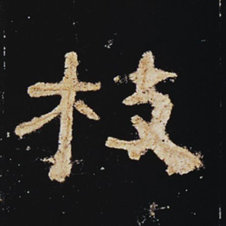 枝