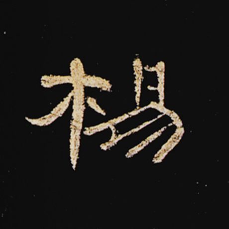 杨