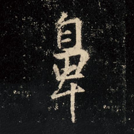 鼻