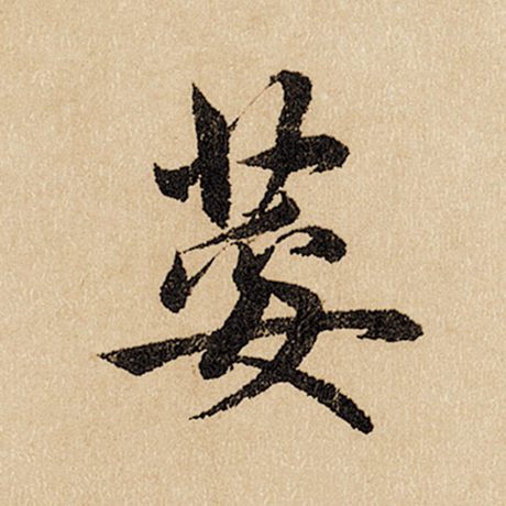 荾