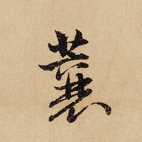 蘘