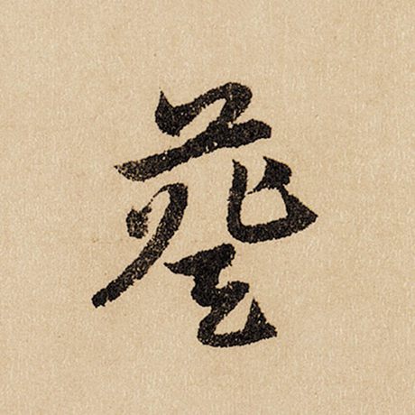 葵