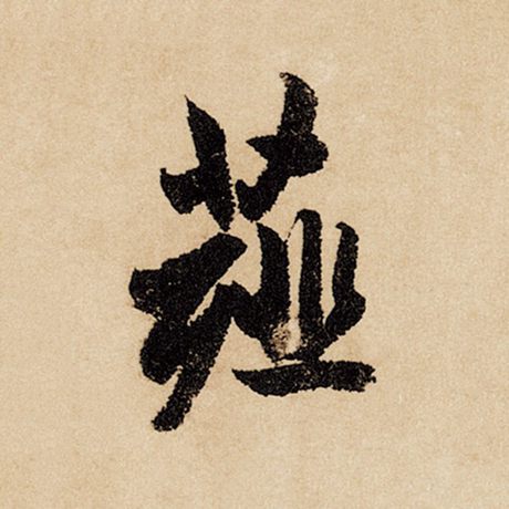 薤