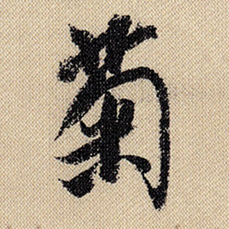 菊